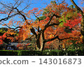 Autumn leaves in the grounds of Adashino Nenbutsu-ji Temple (Ukyo-ku, Kyoto City) 143016873