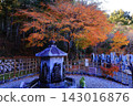 Autumn leaves in the grounds of Adashino Nenbutsu-ji Temple (Ukyo-ku, Kyoto City) 143016876