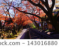 Autumn leaves in the grounds of Adashino Nenbutsu-ji Temple (Ukyo-ku, Kyoto City) 143016880