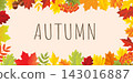 Autumn Banner With Autumn Leaves Border Vector Illustration 143016887
