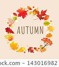 Autumn Poster And Autumn Leaves Vector Illustration 143016982