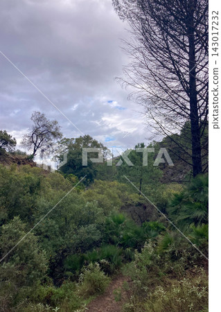Hiking trail to waterfalls over river Caballos, Sierra de la Nieves National Park in Tolox, Malaga, Spain Hiking trail to waterfalls over river Caballos, Sierra de la Nieves National Park in Tolox, Malaga, Spain 143017232