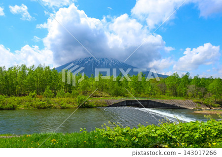 五月的羊蹄山,山頂雲霧繚繞。 五月的羊蹄山,山頂雲霧繚繞。 143017266