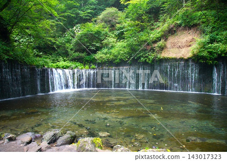 A waterfall and clear water cascading down a weir amidst a lush green forest. A waterfall and clear water cascading down a weir amidst a lush green forest. 143017323