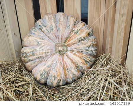 large ribbed pumpkin on straw in a wooden crate in a rustic style. Autumn harvest, a large spotted white pumpkin. Seasonal farm images are perfect for Thanksgiving decorations. large ribbed pumpkin on straw in a wooden crate in a rustic style. Autumn harvest, a large spotted white pumpkin. Seasonal farm images are perfect for Thanksgiving decorations. 143017329