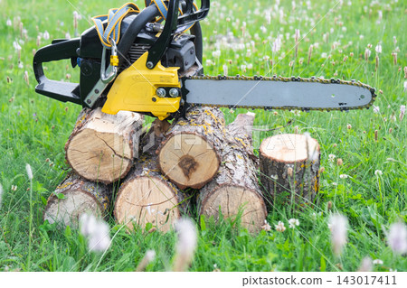 Yellow chainsaw resting on freshly cut logs in a green grass field outdoor. forestry tools concept, lumberjack industry, wood cutting. Yellow chainsaw resting on freshly cut logs in a green grass field outdoor. forestry tools concept, lumberjack industry, wood cutting. 143017411