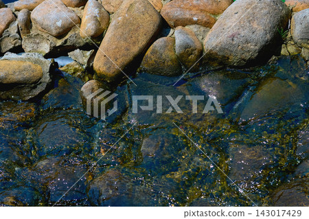 Fresh babbling, ennobled stream flowing among stones and boulders Fresh babbling, ennobled stream flowing among stones and boulders 143017429