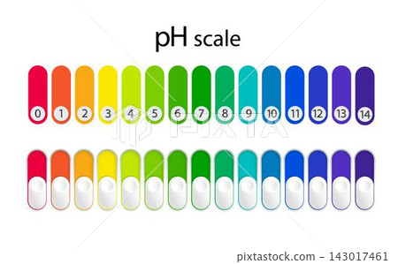 pH scale chart for acid and alkaline solutions. Acid-base balance infographic. Vector 143017461