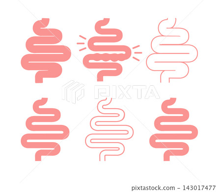 Gut Health Digestive System Anatomy Vector Illustration Gut Health Digestive System Anatomy Vector Illustration 143017477