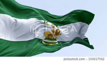 Andalusia flag waving in the wind Andalusia flag waving in the wind 143017592