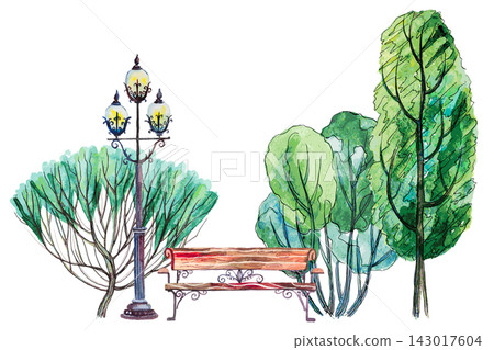 Vector set of hand drawn watercolor pictorial green trees, bench and lantern isolated on the white background for your landscape design Vector set of hand drawn watercolor pictorial green trees, bench and lantern isolated on the white background for your landscape design 143017604
