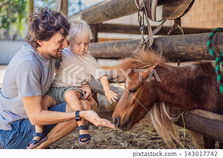 Little boy touches a pony while his father offers animal feed. Sensory exploration and gentle animal interaction. Little boy touches a pony while his father offers animal feed. Sensory exploration and gentle animal interaction. 143017742