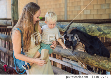 Little boy feeds a goat with his mother's help at a petting farm. Hands on learning and animal education. Little boy feeds a goat with his mother's help at a petting farm. Hands on learning and animal education. 143017757