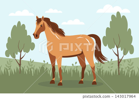 Cute brown horse in the field. Illustration in flat style. 143017964