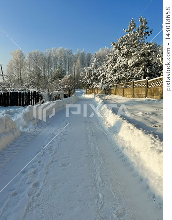 A beautiful snow-covered rural landscape. A sun-drenched, snow-covered trail with frost-covered pine trees and snowdrifts in the countryside. 143018658