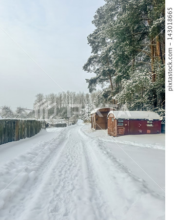 A beautiful snow-covered rural landscape. A sun-drenched, snow-covered trail with frost-covered pine trees and snowdrifts in the countryside. A beautiful snow-covered rural landscape. A sun-drenched, snow-covered trail with frost-covered pine trees and snowdrifts in the countryside. 143018665
