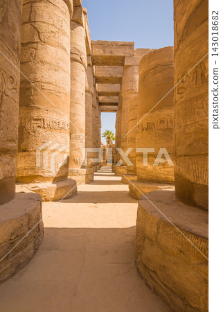Ancient Egyptian temple corridor with sandstone columns and hieroglyphs Ancient Egyptian temple corridor with sandstone columns and hieroglyphs 143018682