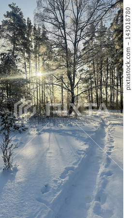 A beautiful snow-covered landscape. A sunlit, snow-covered forest path with frost-covered pine trees and snowdrifts. A beautiful snow-covered landscape. A sunlit, snow-covered forest path with frost-covered pine trees and snowdrifts. 143018780