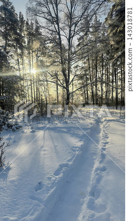 A beautiful snow-covered landscape. A sunlit, snow-covered forest path with frost-covered pine trees and snowdrifts. A beautiful snow-covered landscape. A sunlit, snow-covered forest path with frost-covered pine trees and snowdrifts. 143018781