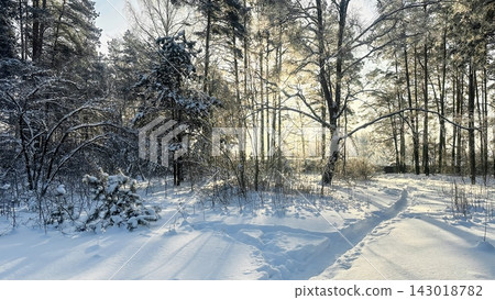 A beautiful snow-covered landscape. A sunlit, snow-covered forest path with frost-covered pine trees and snowdrifts. A beautiful snow-covered landscape. A sunlit, snow-covered forest path with frost-covered pine trees and snowdrifts. 143018782