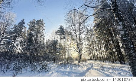 A beautiful snow-covered landscape. A sunlit, snow-covered forest path with frost-covered pine trees and snowdrifts. A beautiful snow-covered landscape. A sunlit, snow-covered forest path with frost-covered pine trees and snowdrifts. 143018784