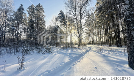 A beautiful snow-covered landscape. A sunlit, snow-covered forest path with frost-covered pine trees and snowdrifts. A beautiful snow-covered landscape. A sunlit, snow-covered forest path with frost-covered pine trees and snowdrifts. 143018785