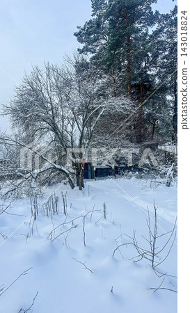 A beautiful snow-covered landscape. snow-covered forest path with frost-covered pine trees and snowdrifts. A beautiful snow-covered landscape. snow-covered forest path with frost-covered pine trees and snowdrifts. 143018824