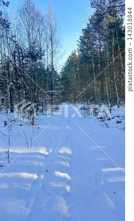 A beautiful snow-covered landscape. snow-covered forest path with frost-covered pine trees and snowdrifts. A beautiful snow-covered landscape. snow-covered forest path with frost-covered pine trees and snowdrifts. 143018844