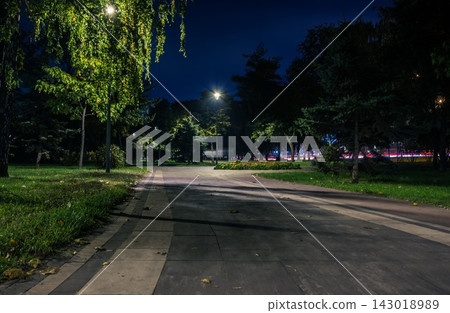 Paved walkway through a park at night under streetlights Paved walkway through a park at night under streetlights 143018989