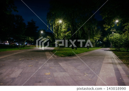Paved walkway splitting into two paths in park at night Paved walkway splitting into two paths in park at night 143018990