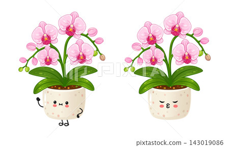 Cute orchid houseplant duo illustration 143019086