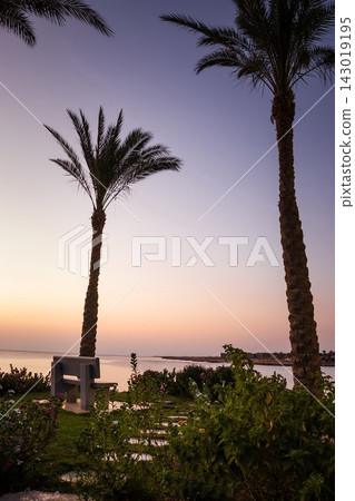 Bench and palm trees on the seashore before dawn. Beautiful sunrise at sea. Dawn on the Red Sea. The sun is reflected in the sea. Palm trees against the background of the rising sun. Tropical sunrise Bench and palm trees on the seashore before dawn. Beautiful sunrise at sea. Dawn on the Red Sea. The sun is reflected in the sea. Palm trees against the background of the rising sun. Tropical sunrise 143019195
