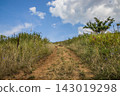Dirt path winding up grassy hill under blue sky with white clouds 143019298