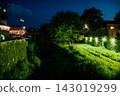 Beautiful night embankment near the river with green lights on a summer night. Weeping willow over the river at night. Green grass near the river at night. Beregovo. Ukraine 143019299