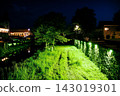 Park at night with neon green grass and trees near a river 143019301