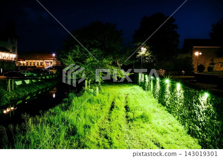 Park at night with neon green grass and trees near a river Park at night with neon green grass and trees near a river 143019301
