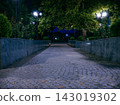 Cobblestone path in park at night with stone walls and lampposts 143019302