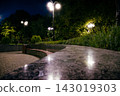 The tiled road in the night green park with lanterns in summer. Benches in the park during the summer season at night. Illumination of a park road with lanterns. 143019303