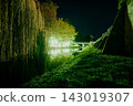 Beautiful night embankment near the river with green lights on a summer night. Weeping willow over the river at night. Green grass near the river at night. Beregovo. Ukraine 143019307