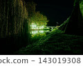 Night scene of illuminated trees along a river with bridge 143019308