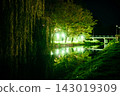Beautiful night embankment near the river with green lights on a summer night. Weeping willow over the river at night. Green grass near the river at night. Beregovo. Ukraine 143019309