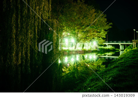 Beautiful night embankment near the river with green lights on a summer night. Weeping willow over the river at night. Green grass near the river at night. Beregovo. Ukraine Beautiful night embankment near the river with green lights on a summer night. Weeping willow over the river at night. Green grass near the river at night. Beregovo. Ukraine 143019309