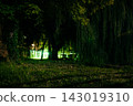 Weeping willow tree in garden with green light at night 143019310