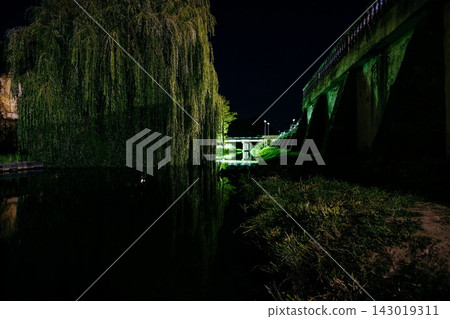 Weeping willow tree and concrete bridge over river at night 143019311