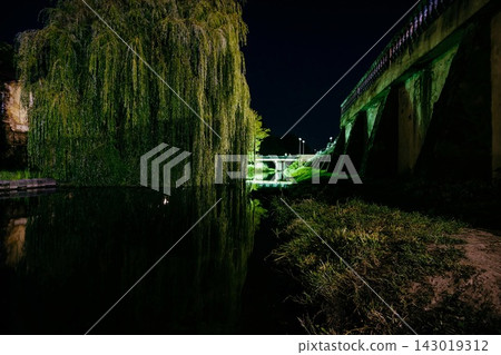 Weeping willow tree and concrete bridge over dark river at night Weeping willow tree and concrete bridge over dark river at night 143019312