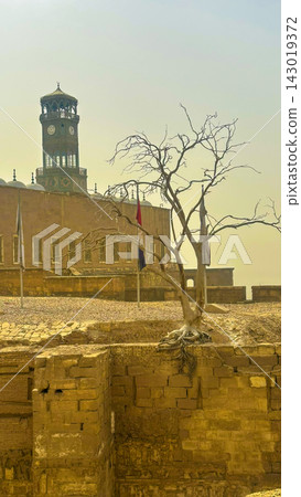 central Cairo. Sultan Hassan Mosque, Al-Rifai Mosque in Cairo, Egypt central Cairo. Sultan Hassan Mosque, Al-Rifai Mosque in Cairo, Egypt 143019372