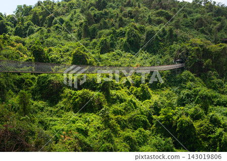 Rope bridge in the park. Beautiful view of the mountains. Yalong Tropical Park, Hainan Island Rope bridge in the park. Beautiful view of the mountains. Yalong Tropical Park, Hainan Island 143019806