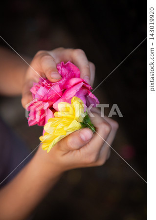 Child hands gently holding bright pink and yellow flowers against dark blurred background, close up vertical portrait showing softness, color contrast, tenderness, and natural beauty Child hands gently holding bright pink and yellow flowers against dark blurred background, close up vertical portrait showing softness, color contrast, tenderness, and natural beauty 143019920