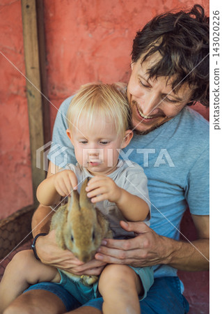 Father helps his toddler gently handle a brown rabbit. Gentle handling and learning about pet care. 143020226