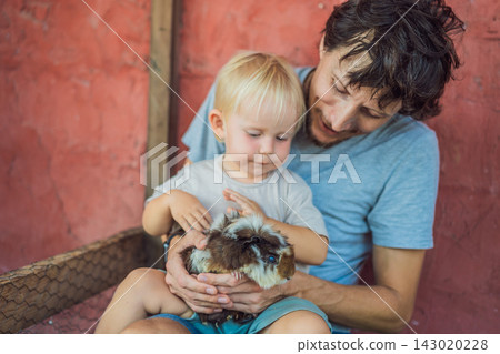 Toddler enjoys petting a guinea pig with his smiling father. Joy and connection during a farm animal encounter. 143020228